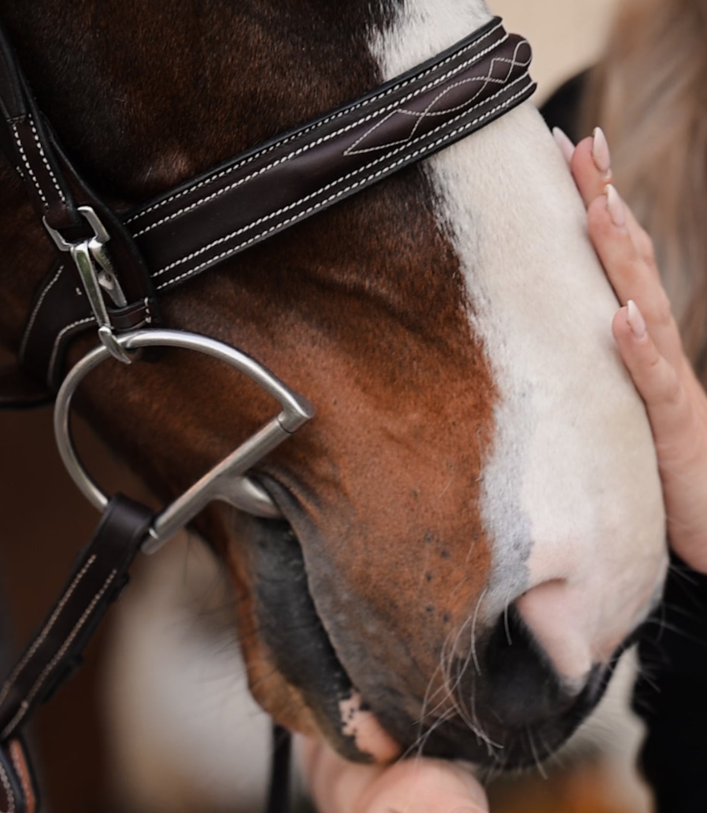 Snap End Cheek Piece - HAYLO Equestrian
