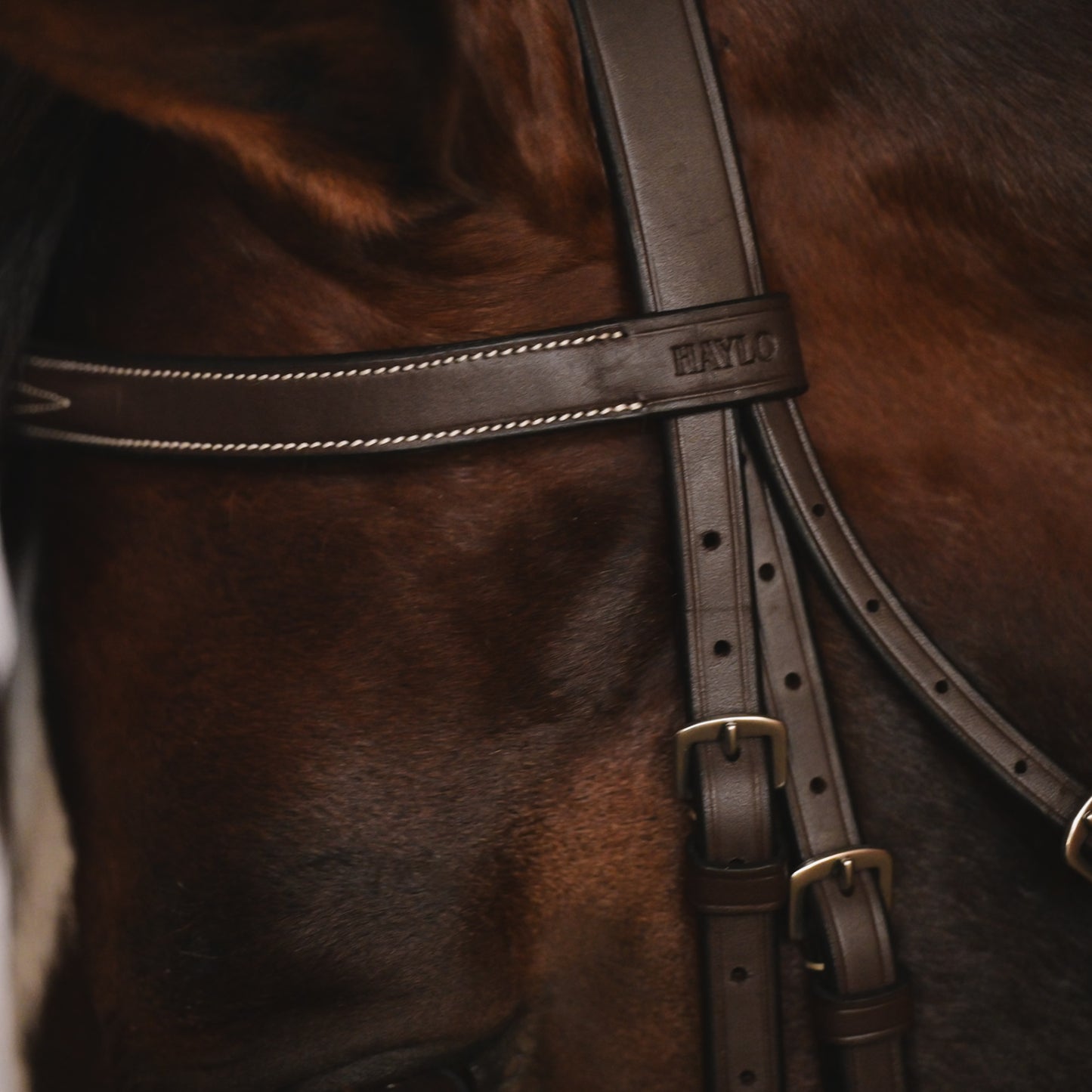 Kingsbury Hunter Bridle - HAYLO Equestrian