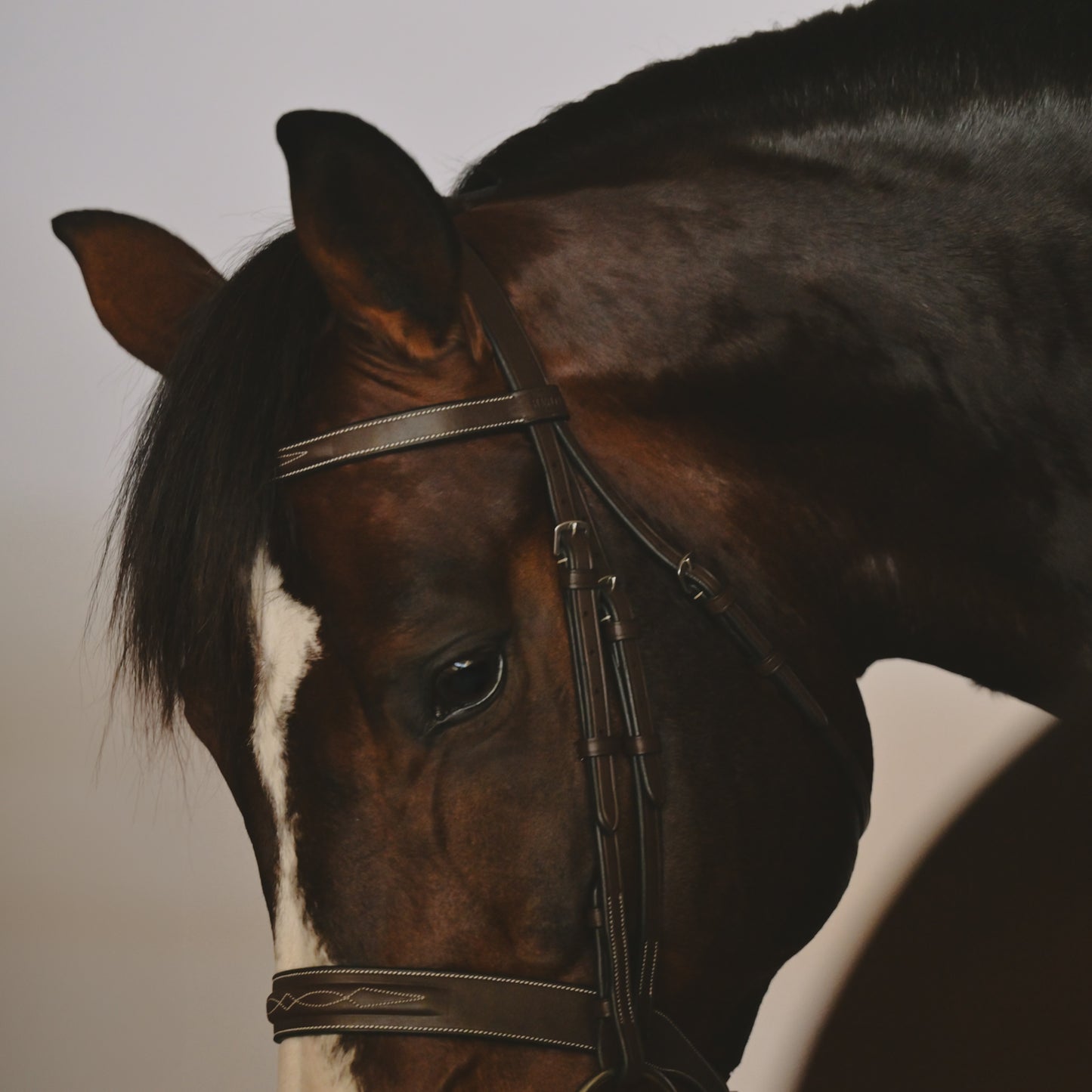 Kingsbury Hunter Bridle - HAYLO Equestrian