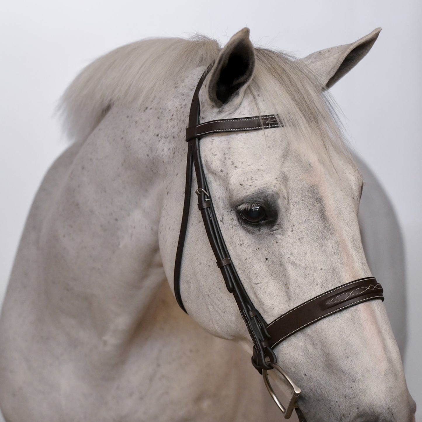 Kingsbury Hunter Bridle - HAYLO Equestrian