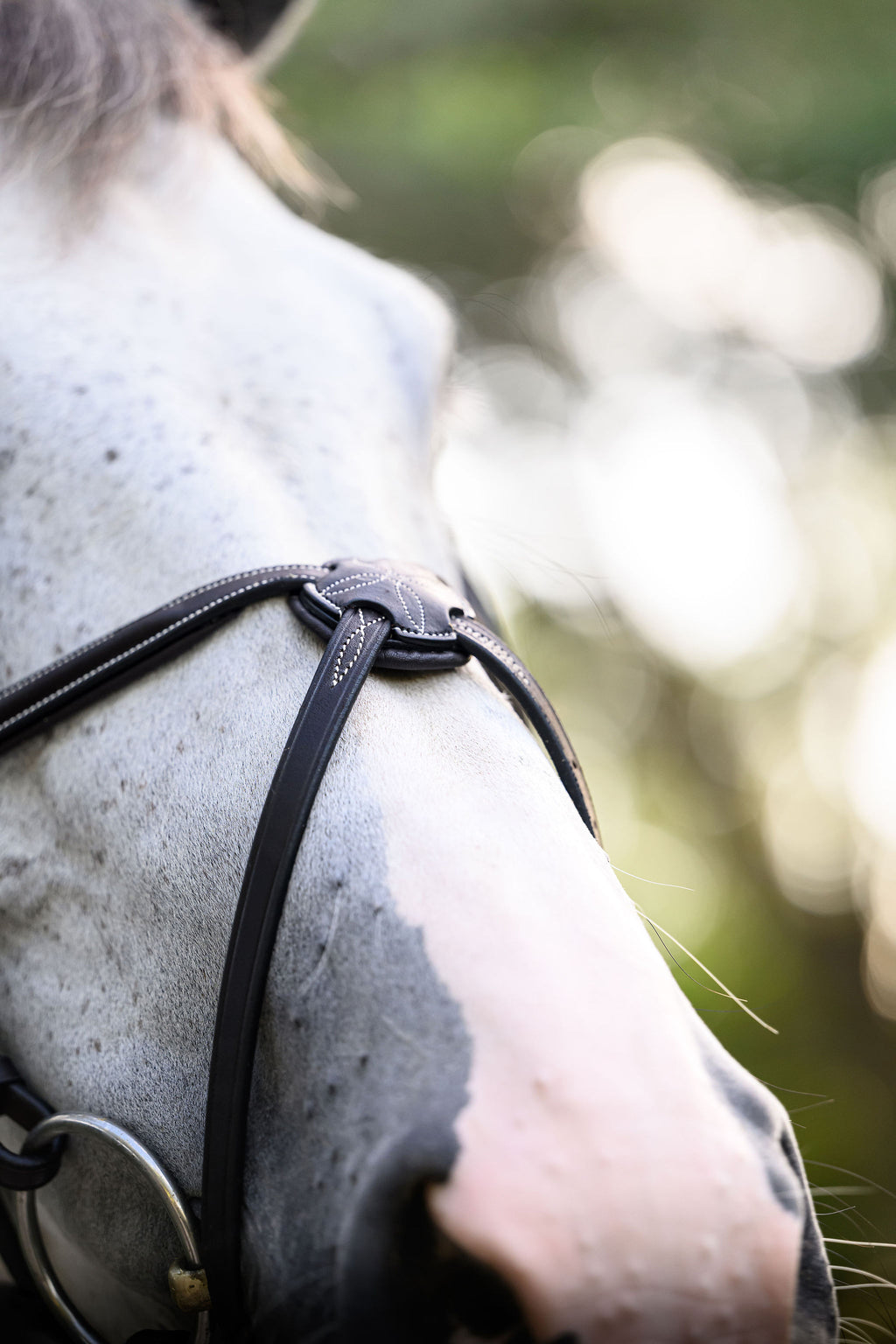 Barclino Figure 8 Bridle