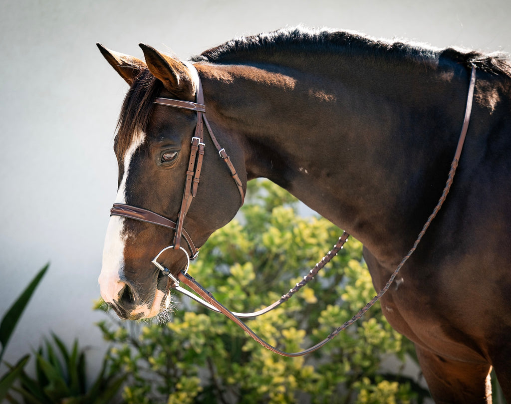Legacy Hunter Bridle