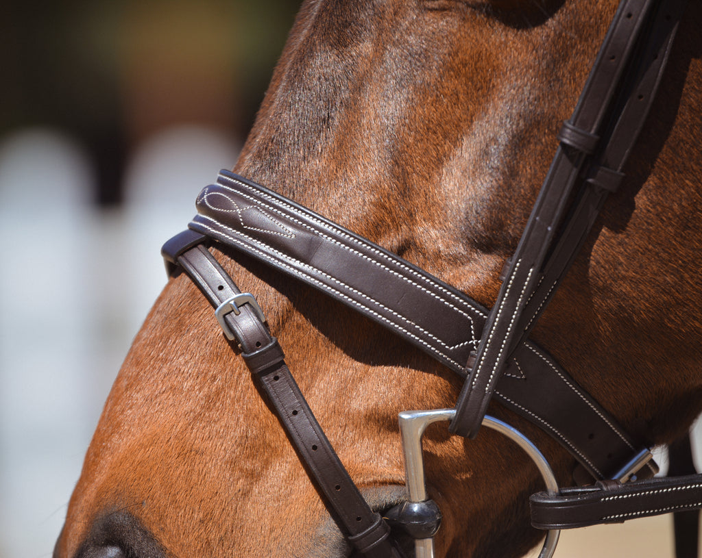 Tornado Flash Bridle