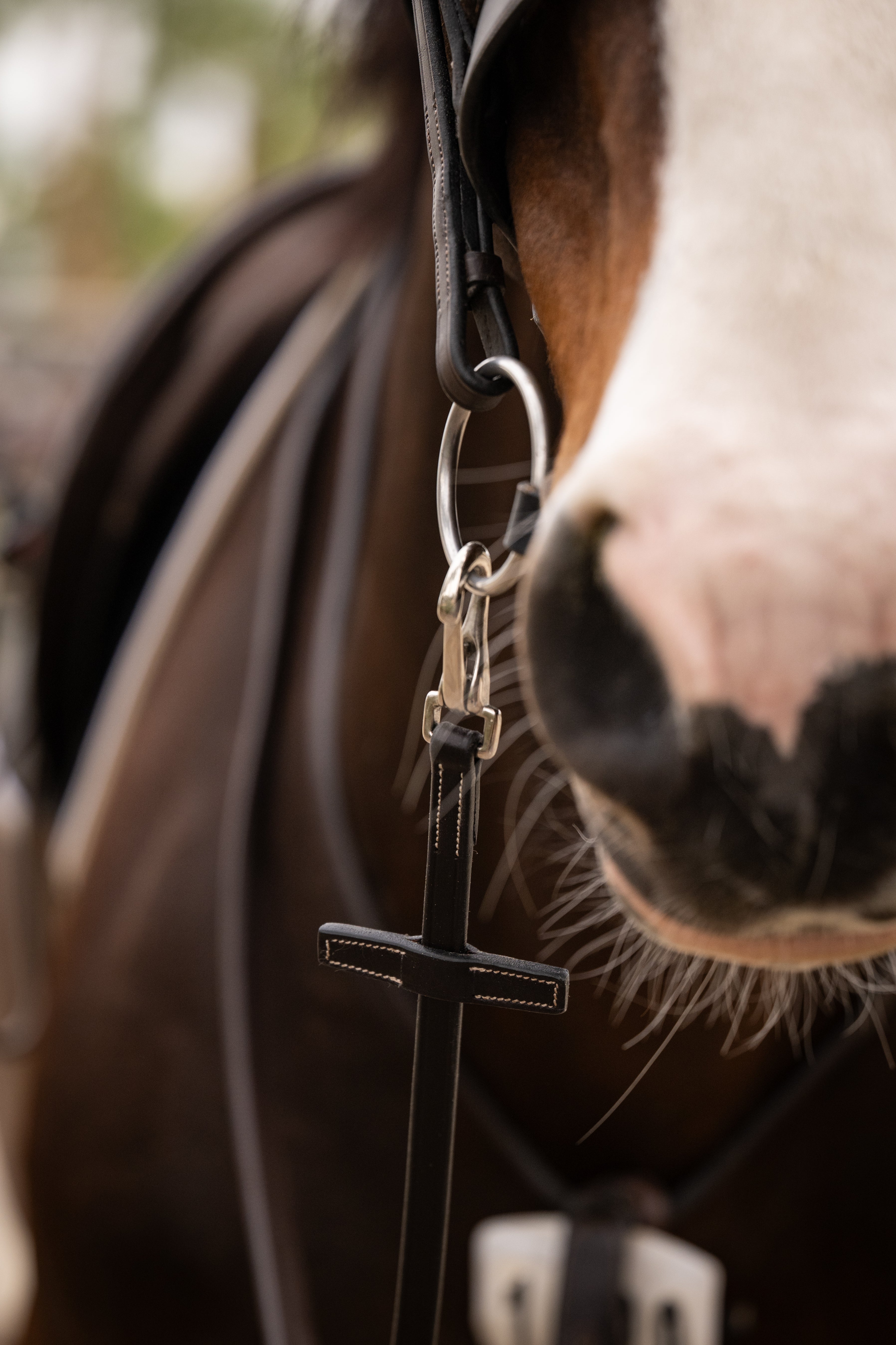Snap on Rubber Reins