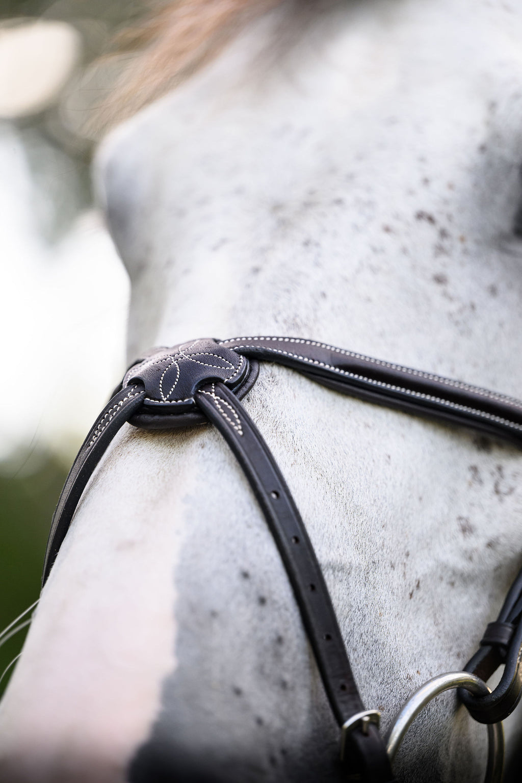 Barclino Figure 8 Bridle