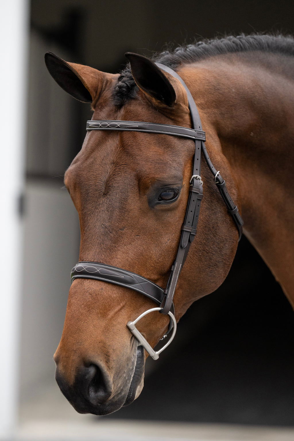 Aster Hunter Bridle