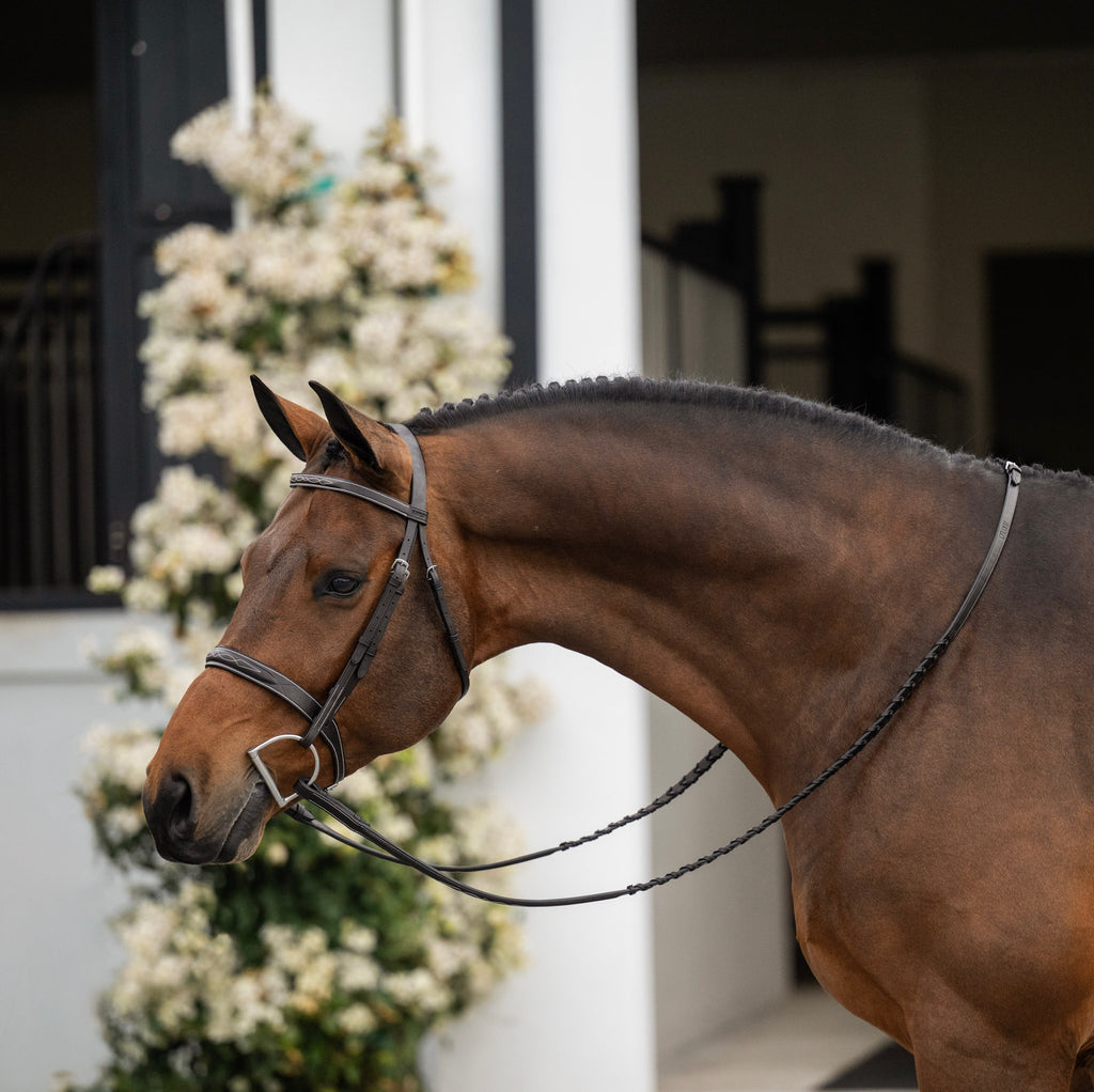 Lyrik Hunter Bridle