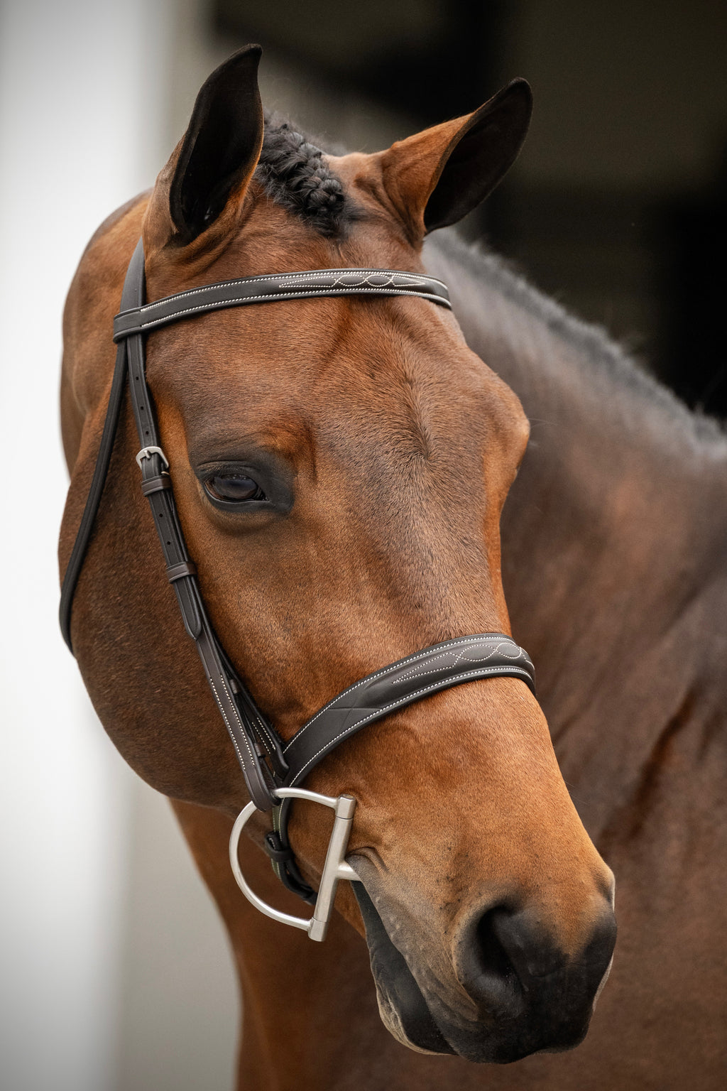 Aster Hunter Bridle