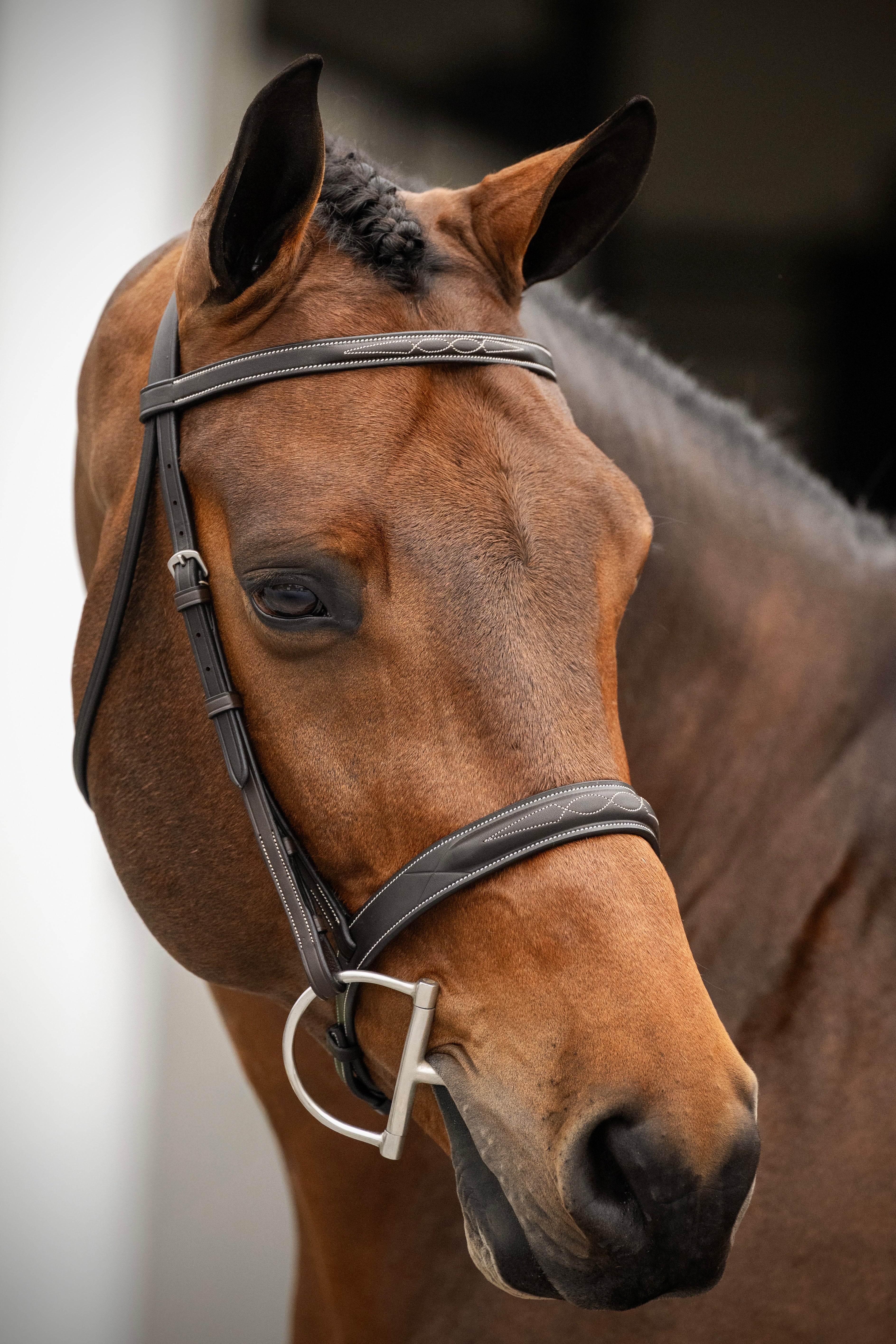 Aster Hunter Bridle