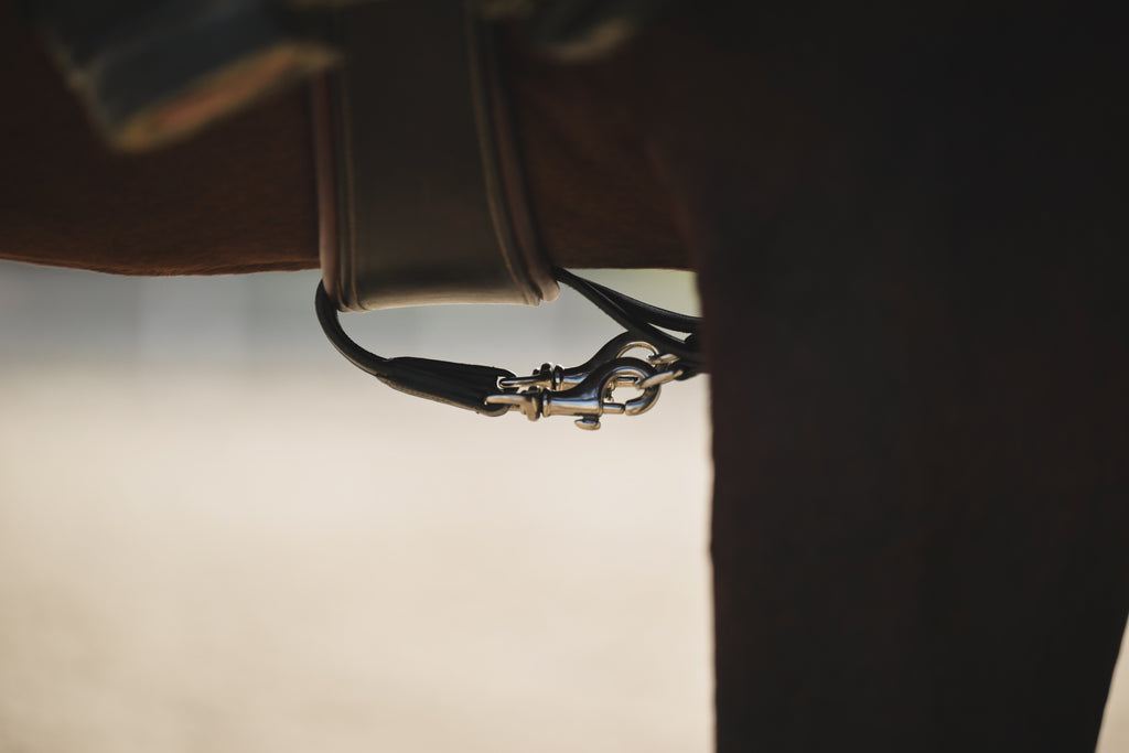 Draw Reins