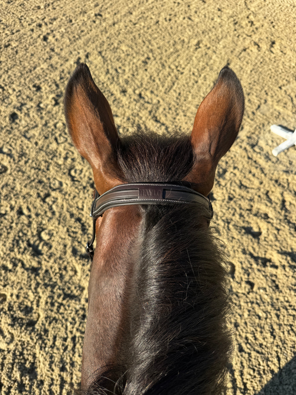 Padded Crown