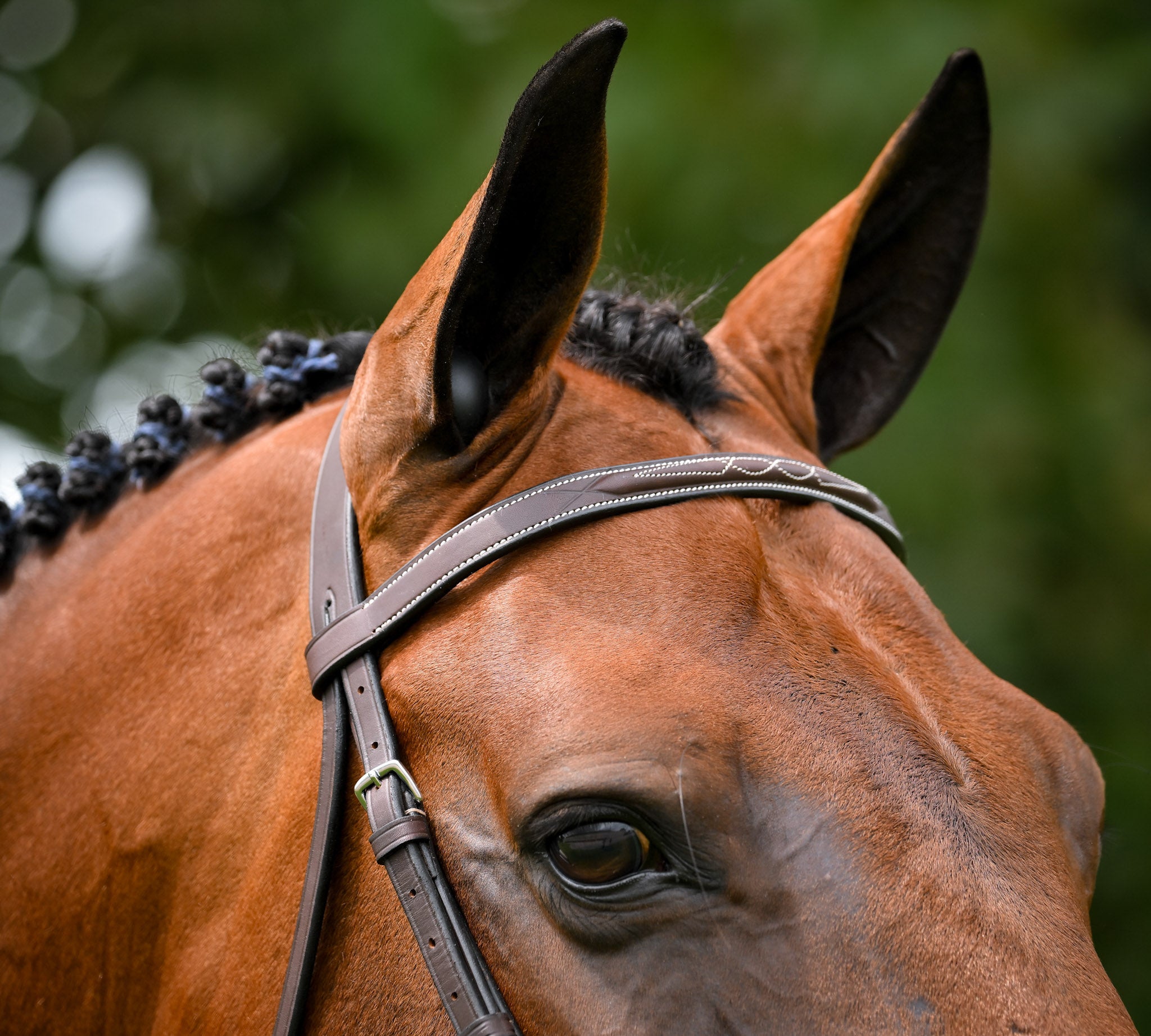 Triumph Hunter Bridle