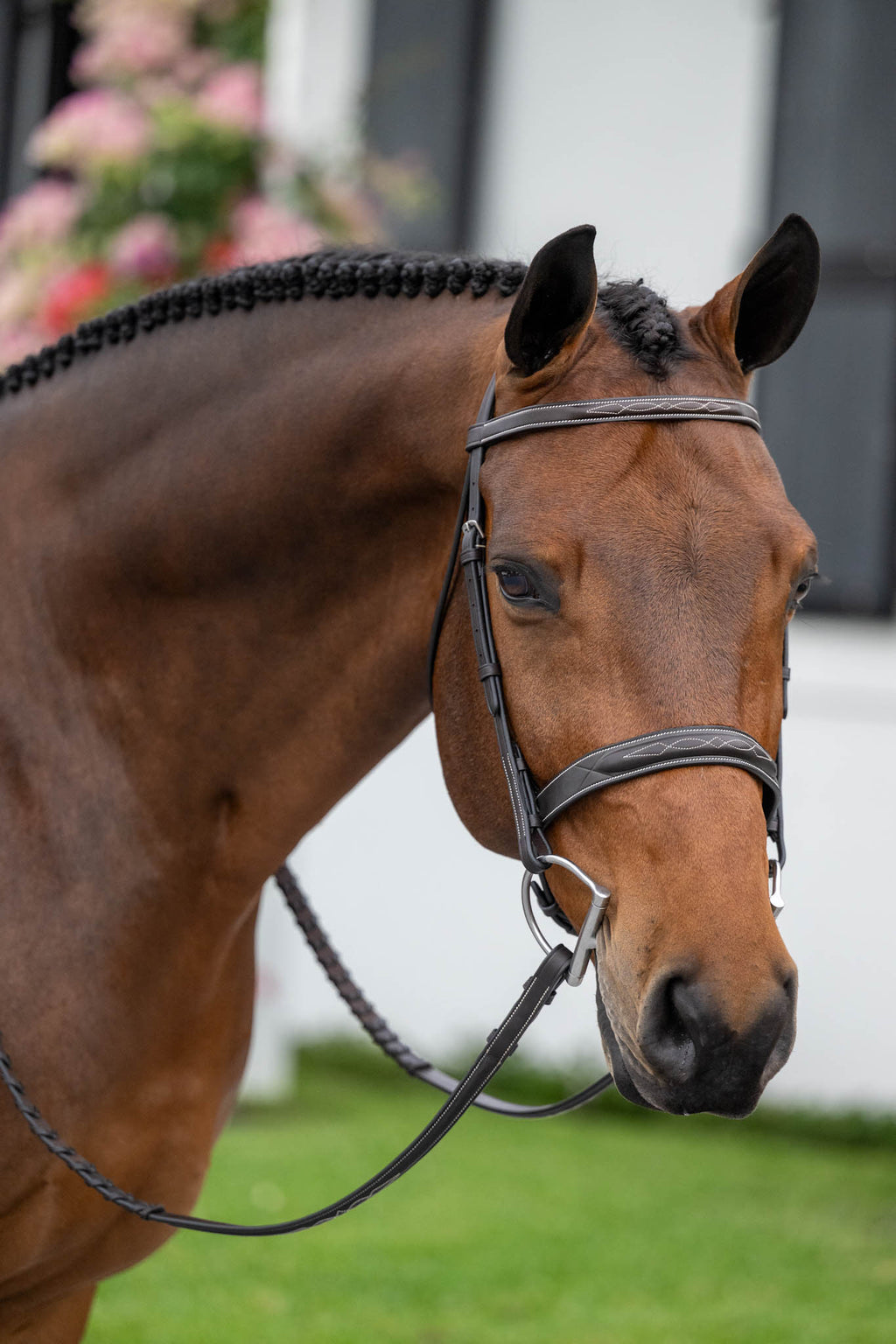 Lyrik Hunter Bridle