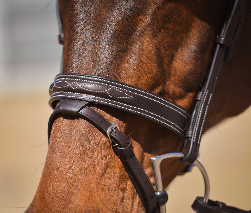 Tornado Flash Bridle