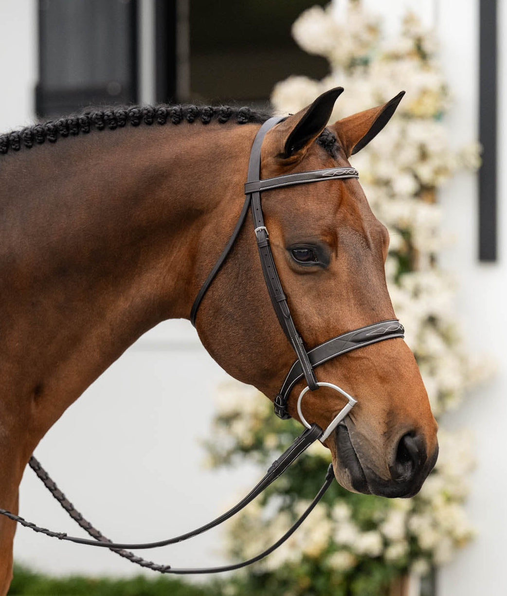 Lyrik Hunter Bridle