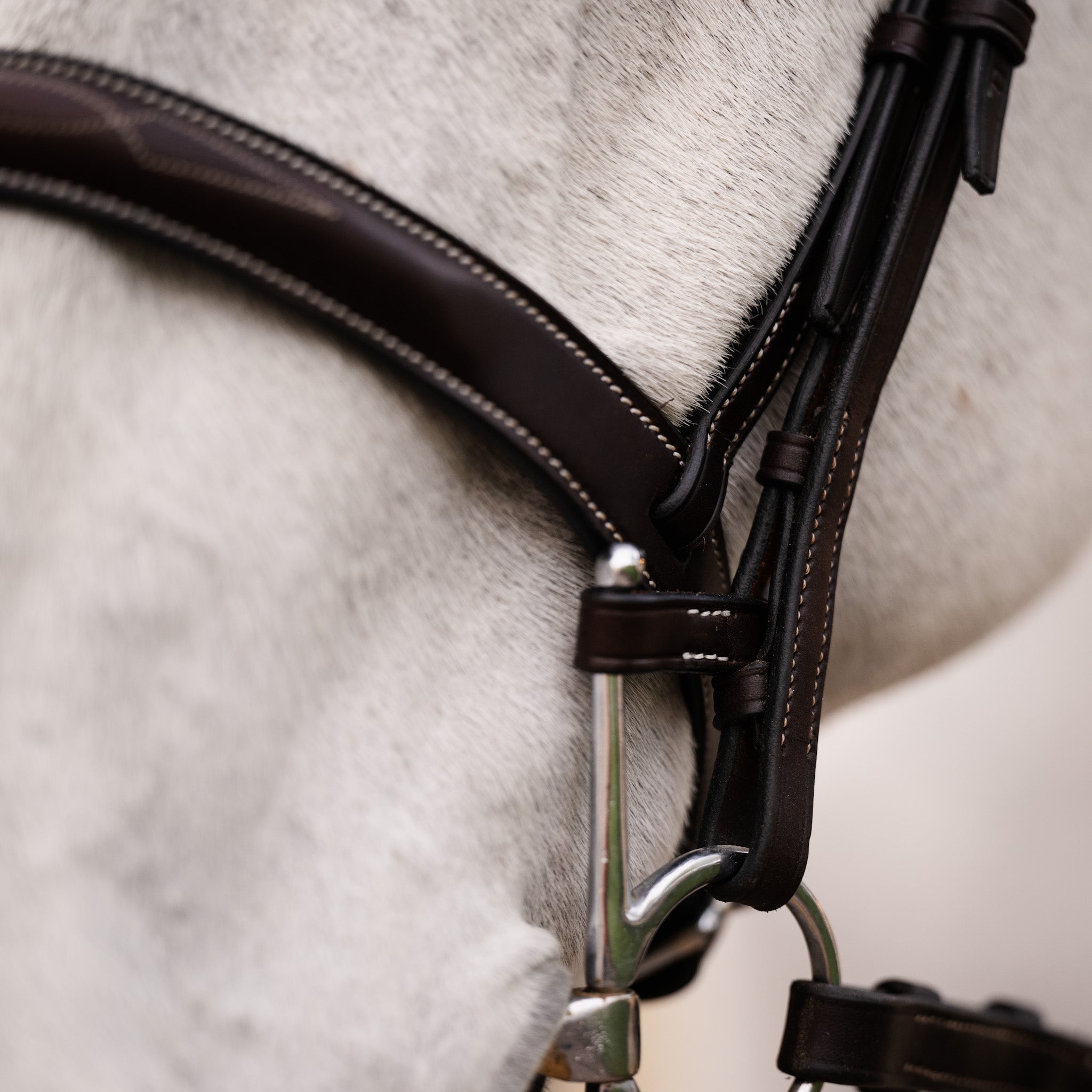 Full Cheek Bit Keepers - HAYLO Equestrian