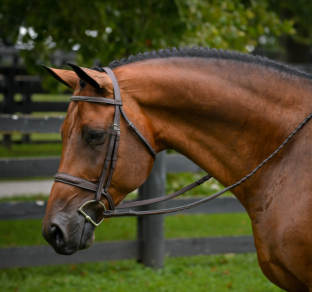 Triumph Hunter Bridle