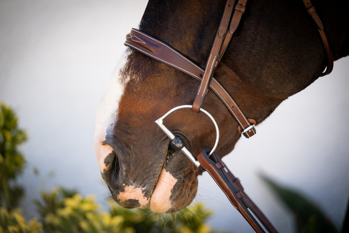 Legacy Hunter Bridle