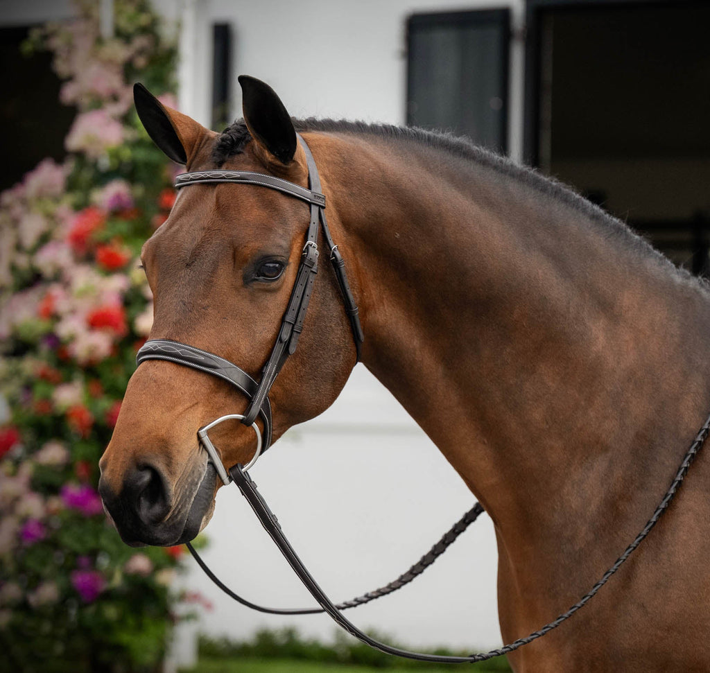Lyrik Hunter Bridle