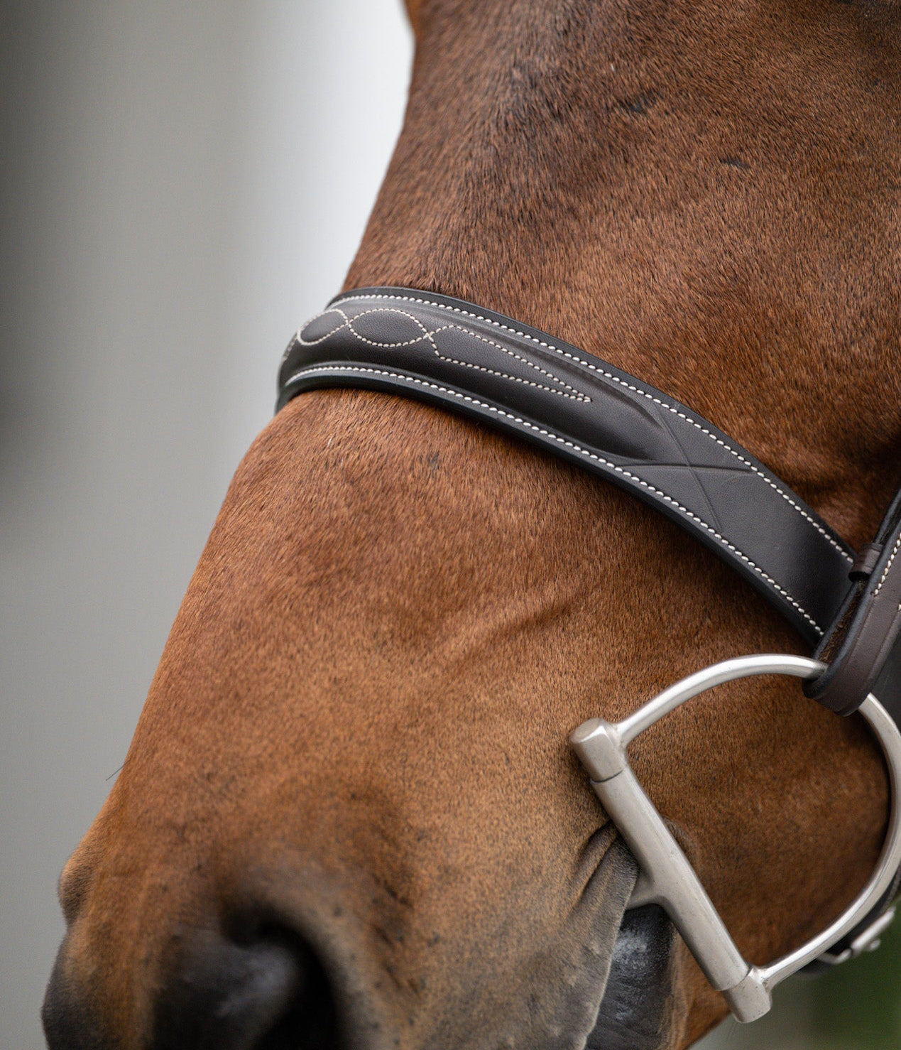 Hunter Collection – HAYLO Equestrian