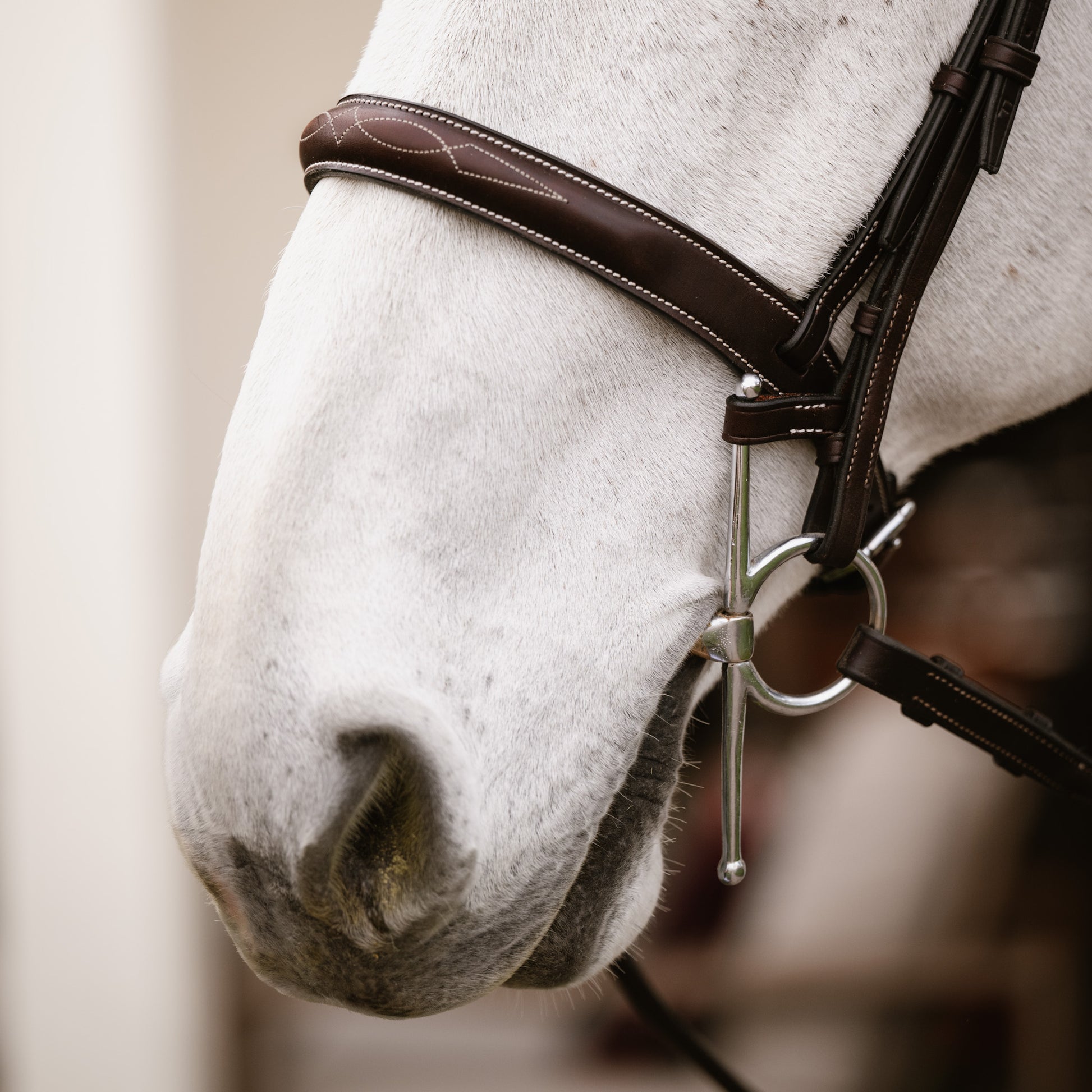 Full Cheek Bit Keepers - HAYLO Equestrian