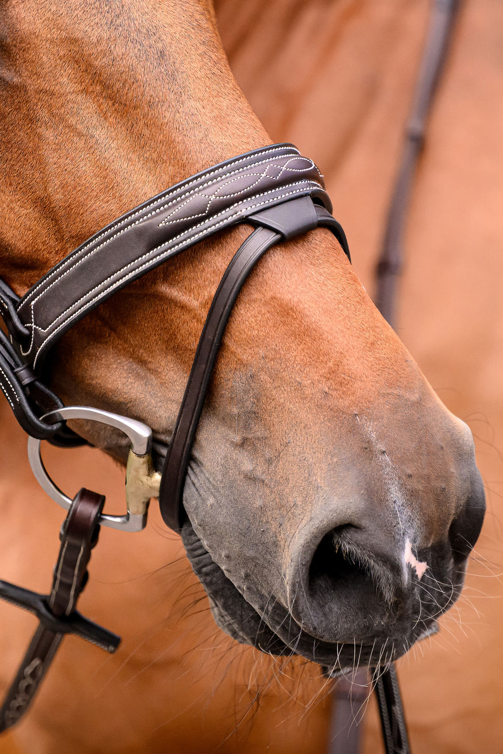 Tornado Flash Bridle