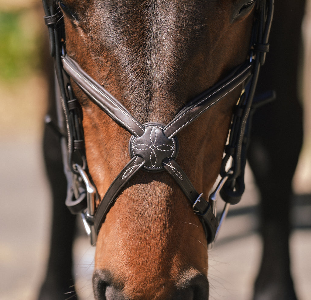 Barclino Figure 8 Bridle