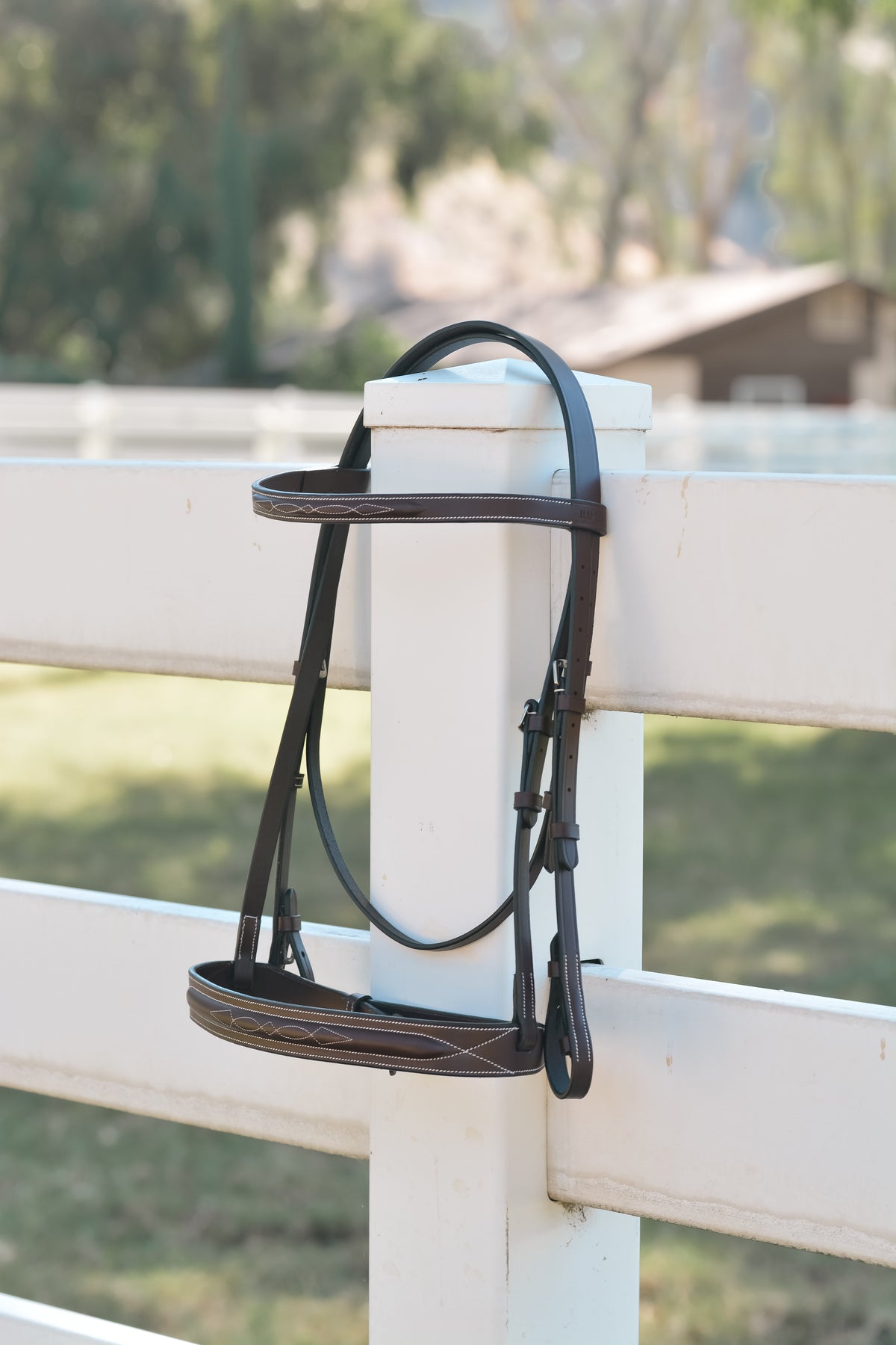 Essential Hunter bridle