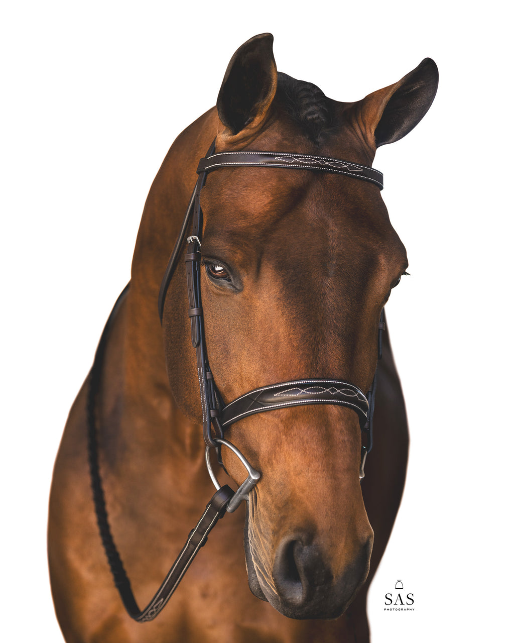 Lyrik Hunter Bridle Seconds Sale