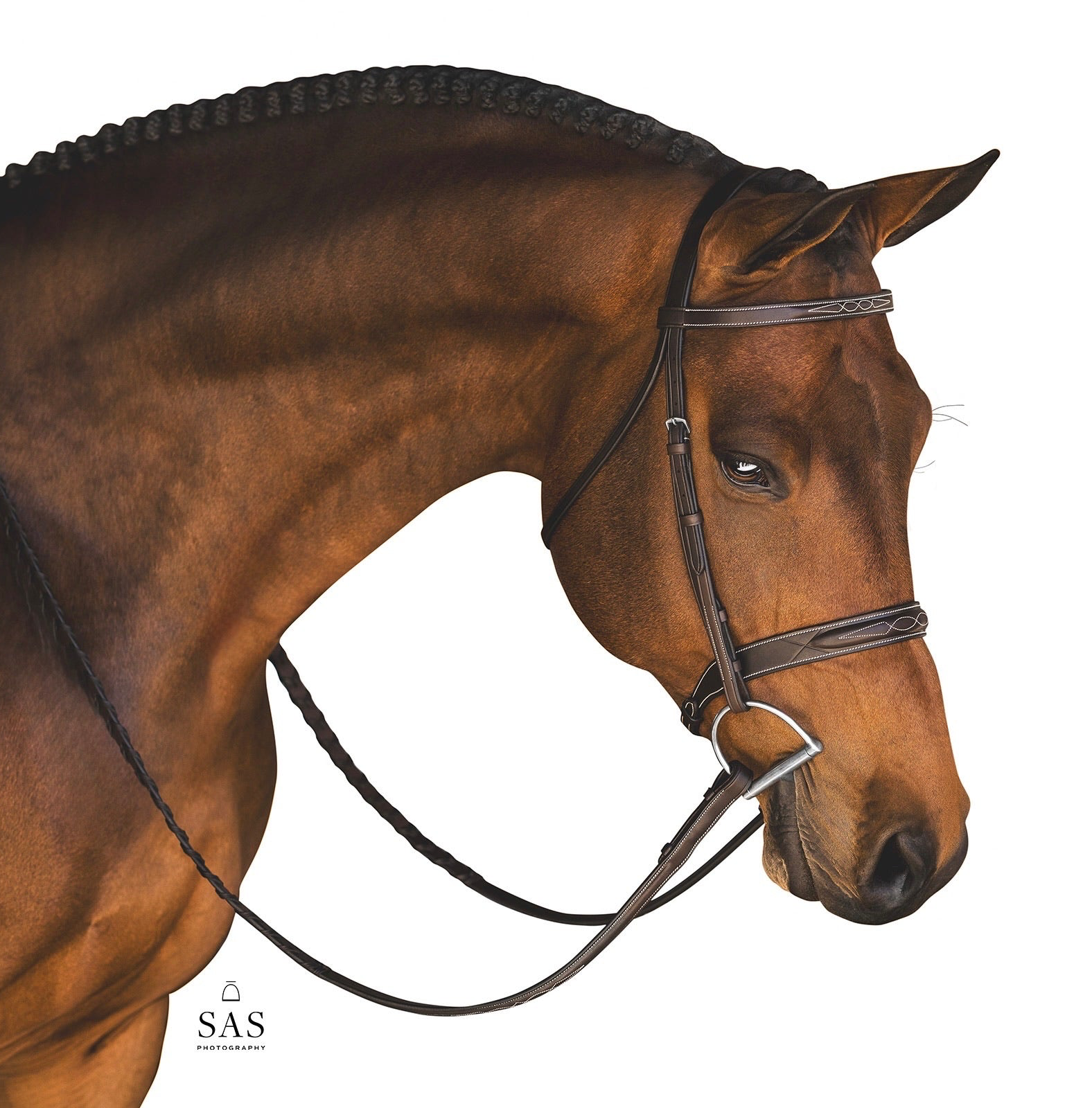 Aster Hunter Bridle Seconds Sale