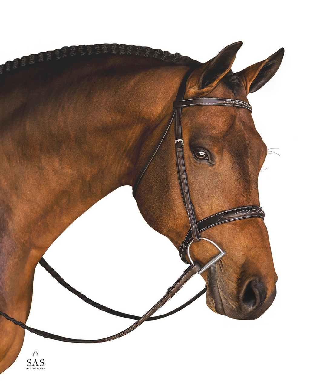 Lyrik Hunter Bridle Seconds Sale