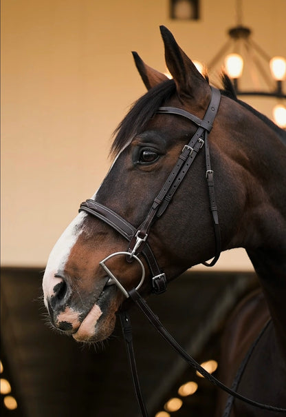 Snap End Cheek Piece - HAYLO Equestrian