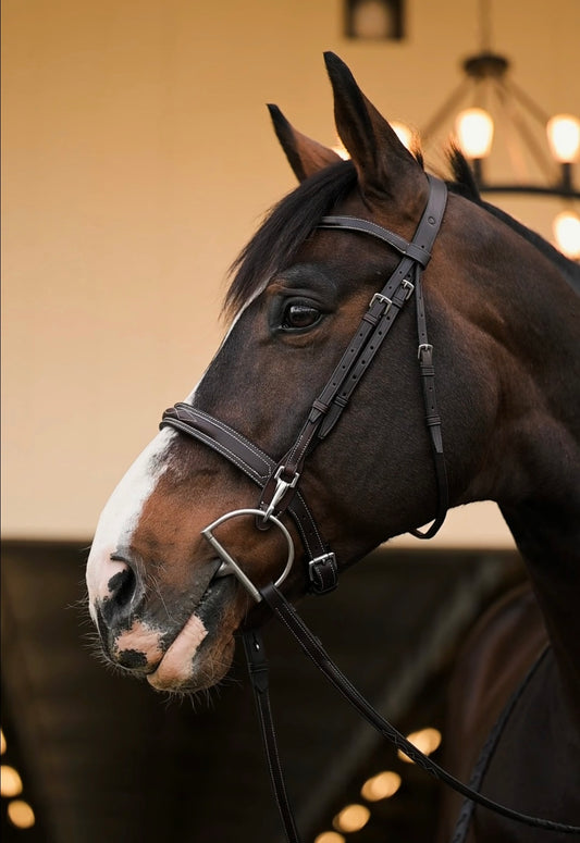 Snap End Cheek Piece - HAYLO Equestrian