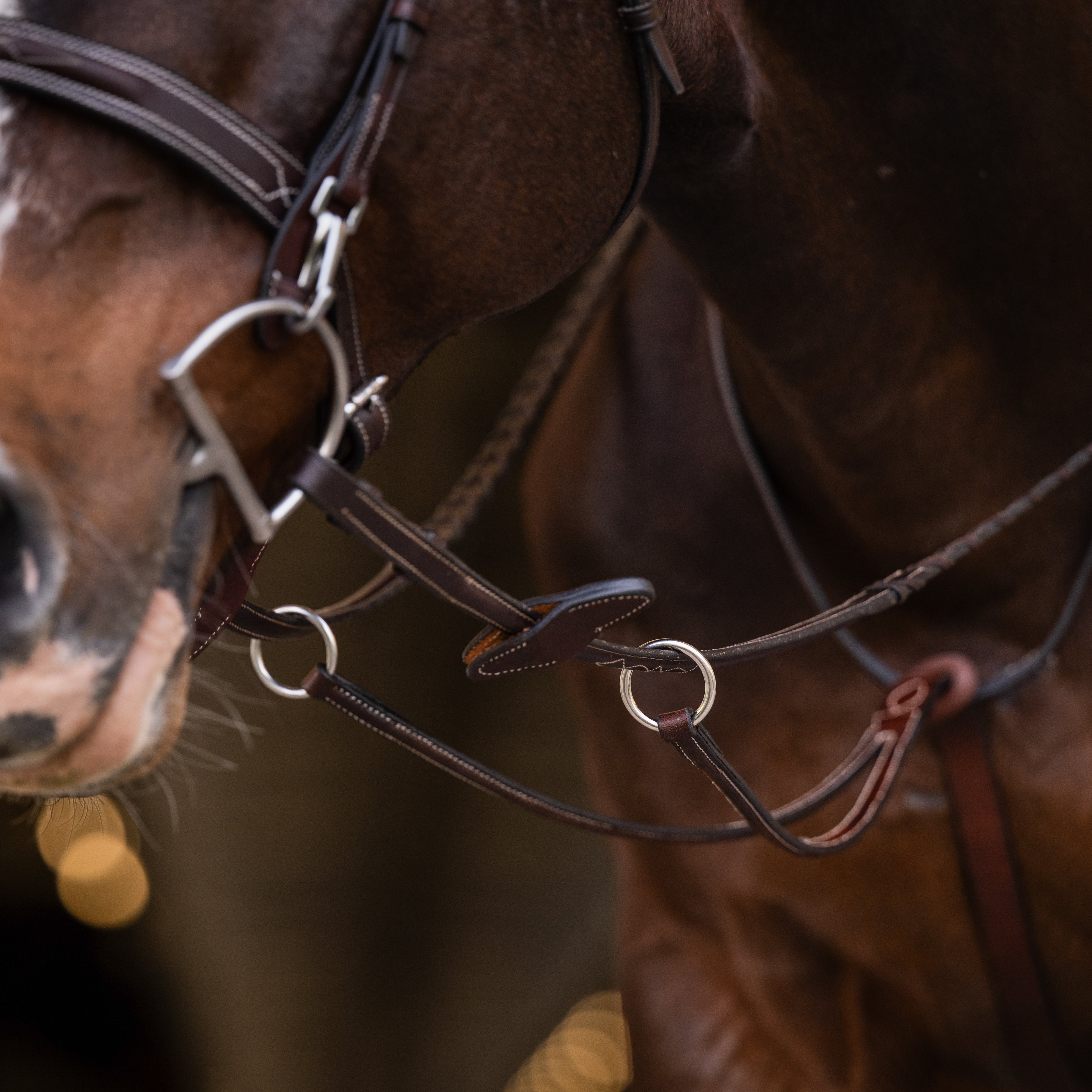 Running Martingale - HAYLO Equestrian