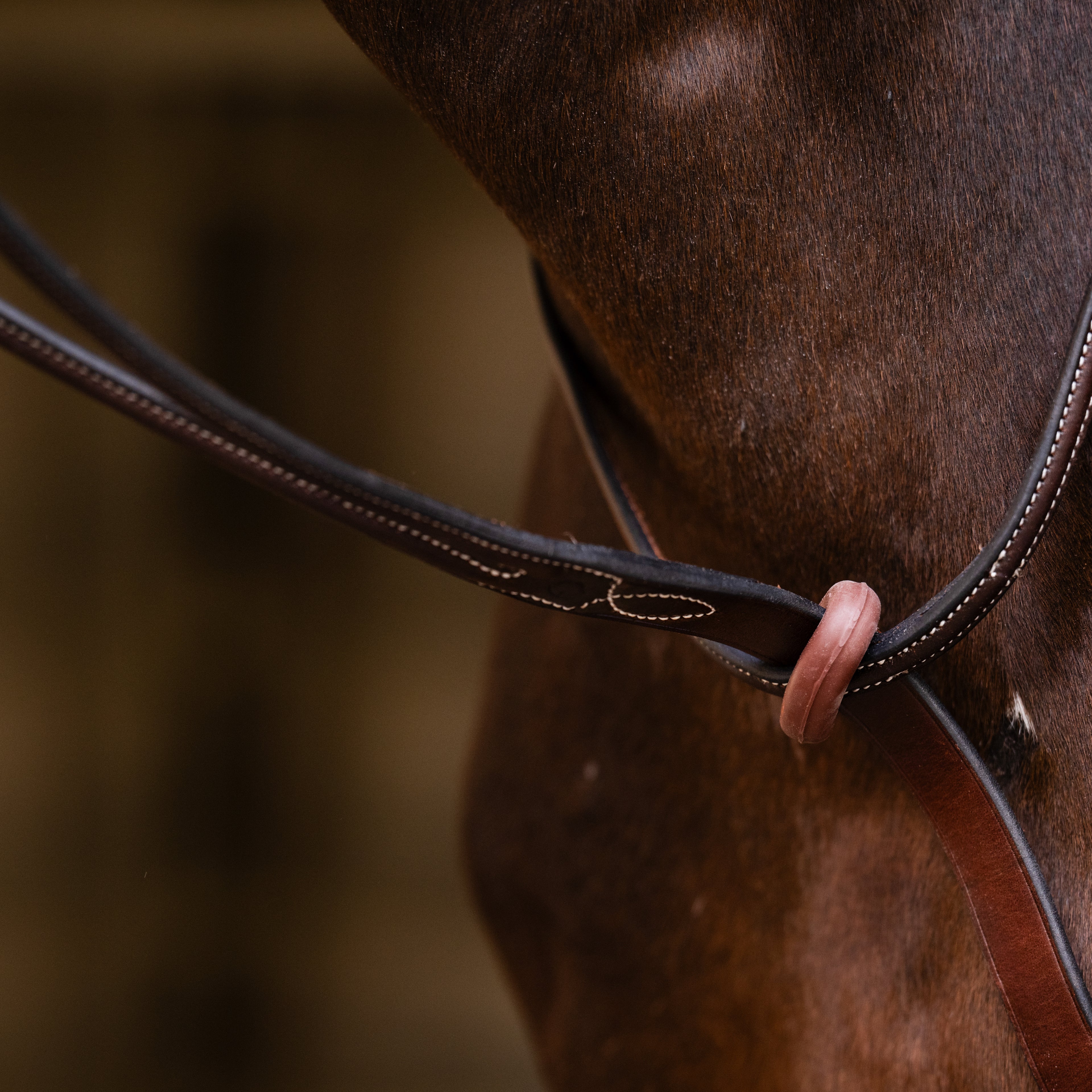 Running Martingale - HAYLO Equestrian