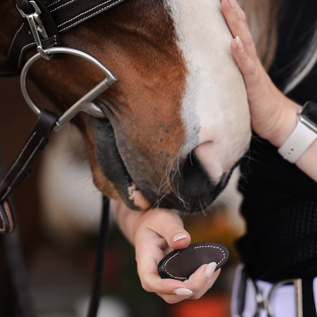 Snap Rein Stops - HAYLO Equestrian