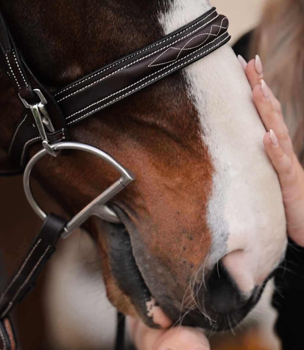 Snap End Cheek Piece - HAYLO Equestrian