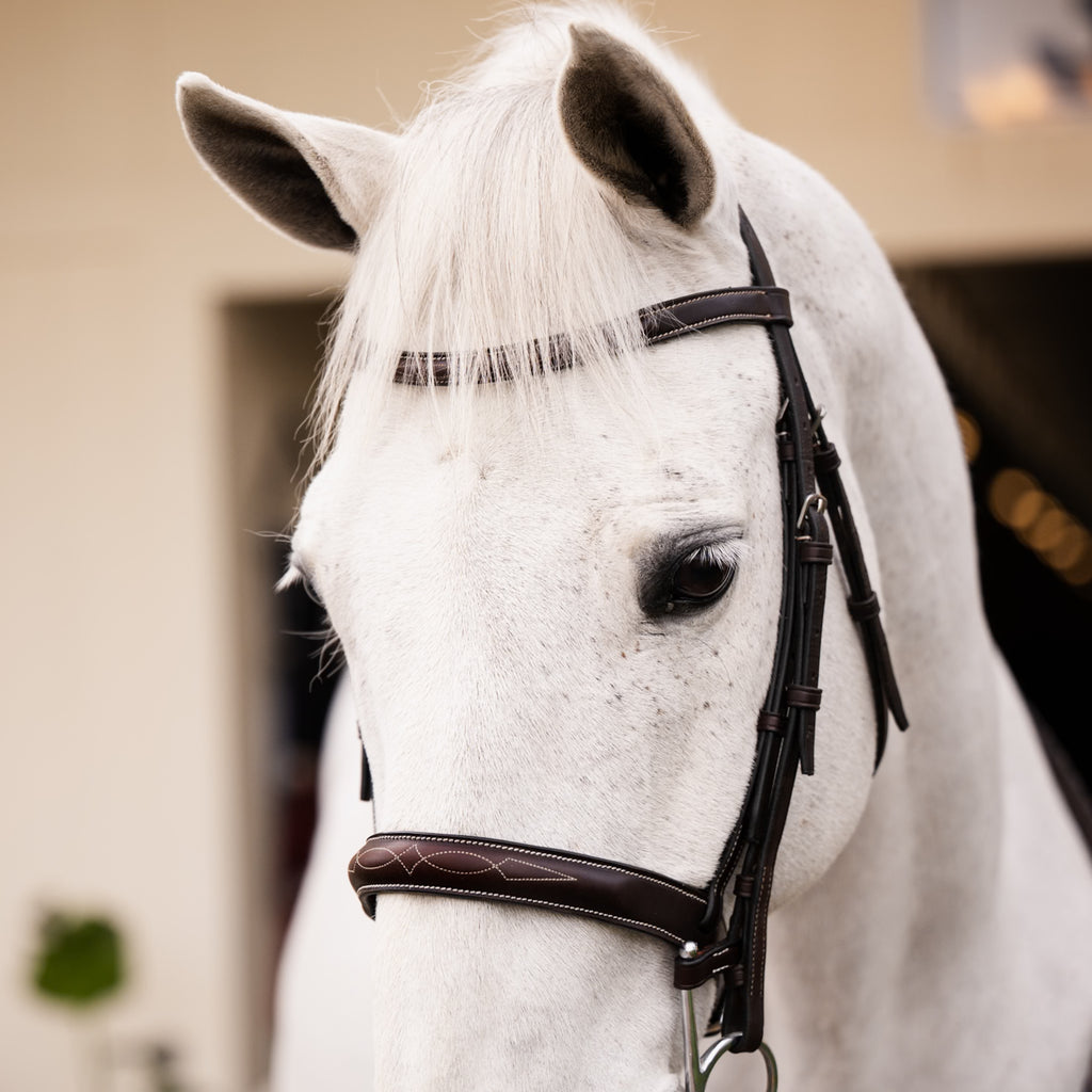 VENICE Hunter Bridle - HAYLO Equestrian