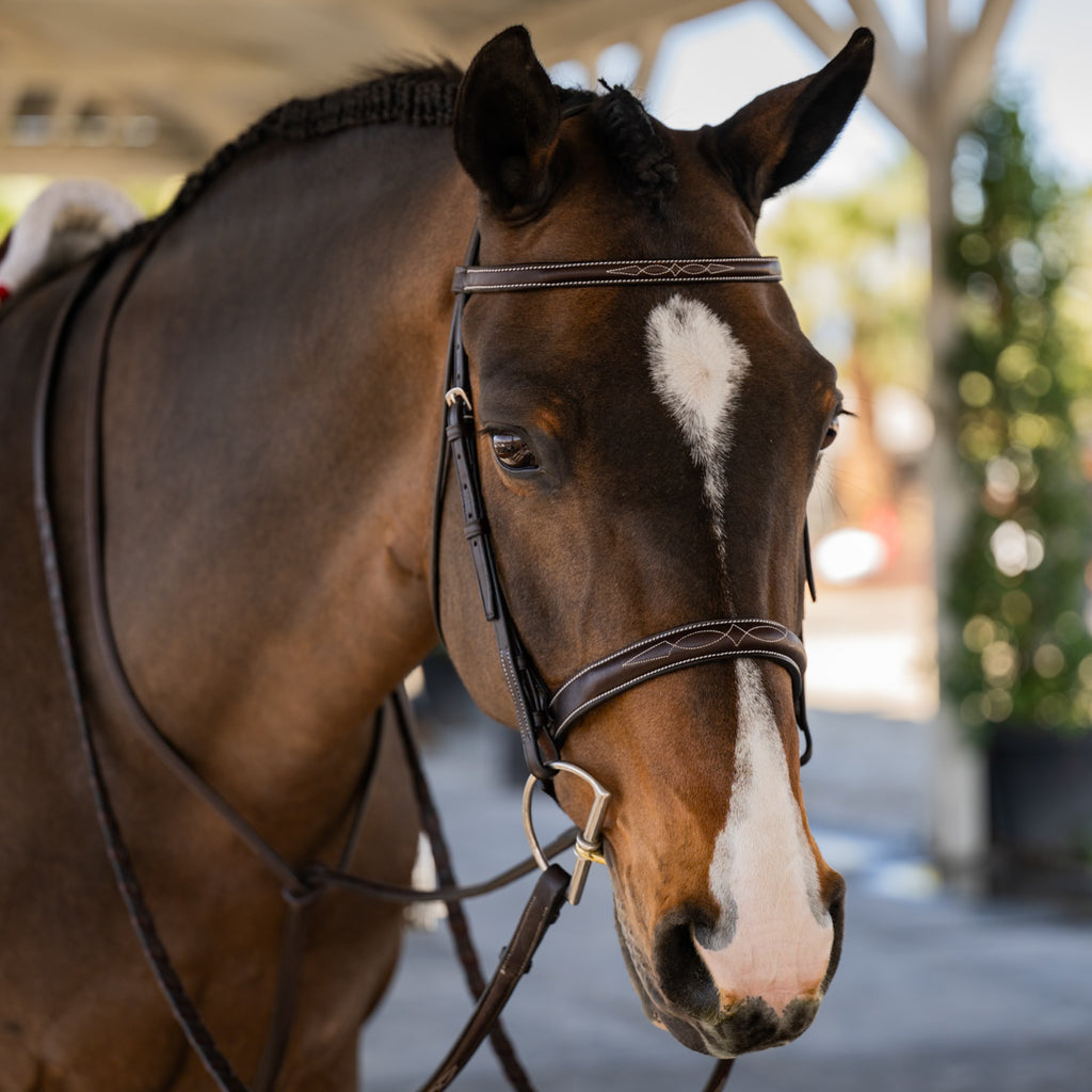 VENICE Hunter Bridle - HAYLO Equestrian