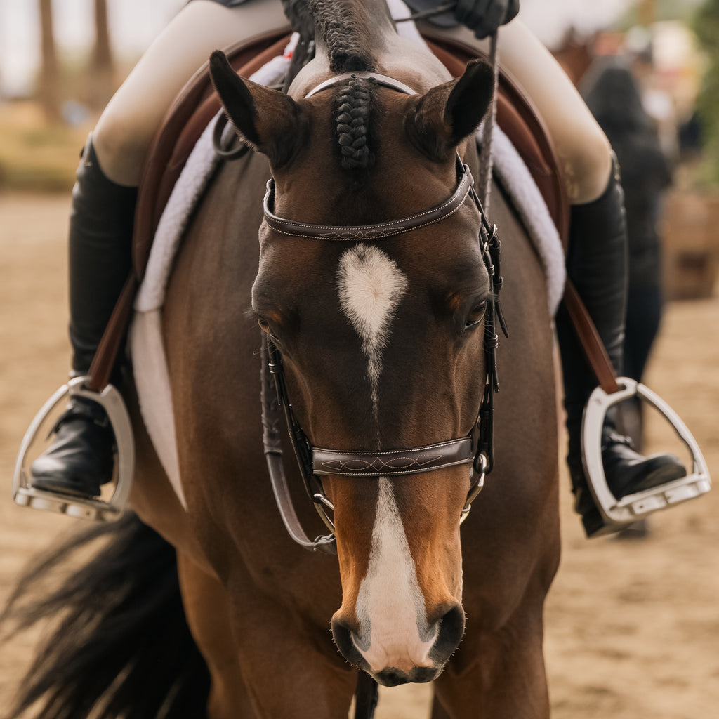 VENICE Hunter Bridle - HAYLO Equestrian