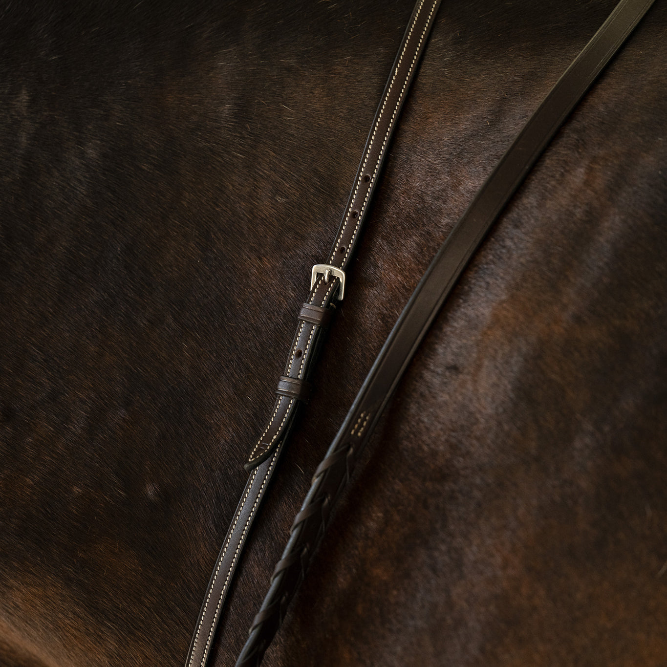 Fancy Stitch Standing Martingale - HAYLO Equestrian