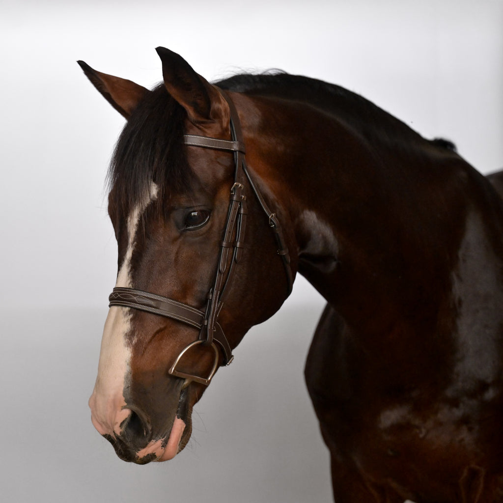 Carlo Hunter Bridle Seconds Sale