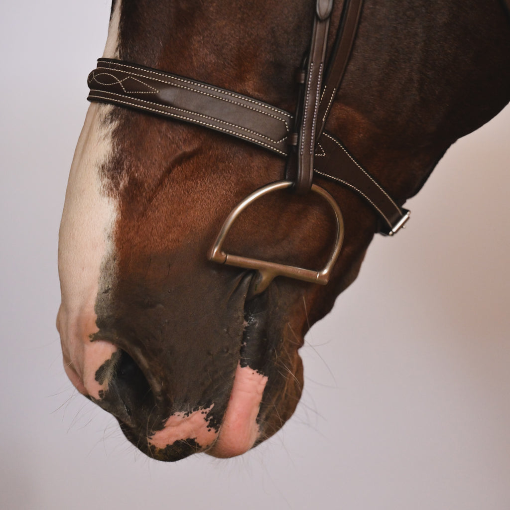 CARLO Hunter Bridle - HAYLO Equestrian