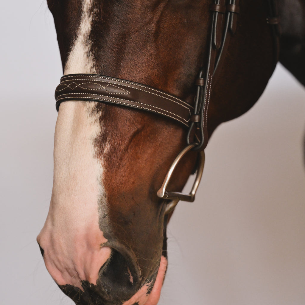 CARLO Hunter Bridle - HAYLO Equestrian