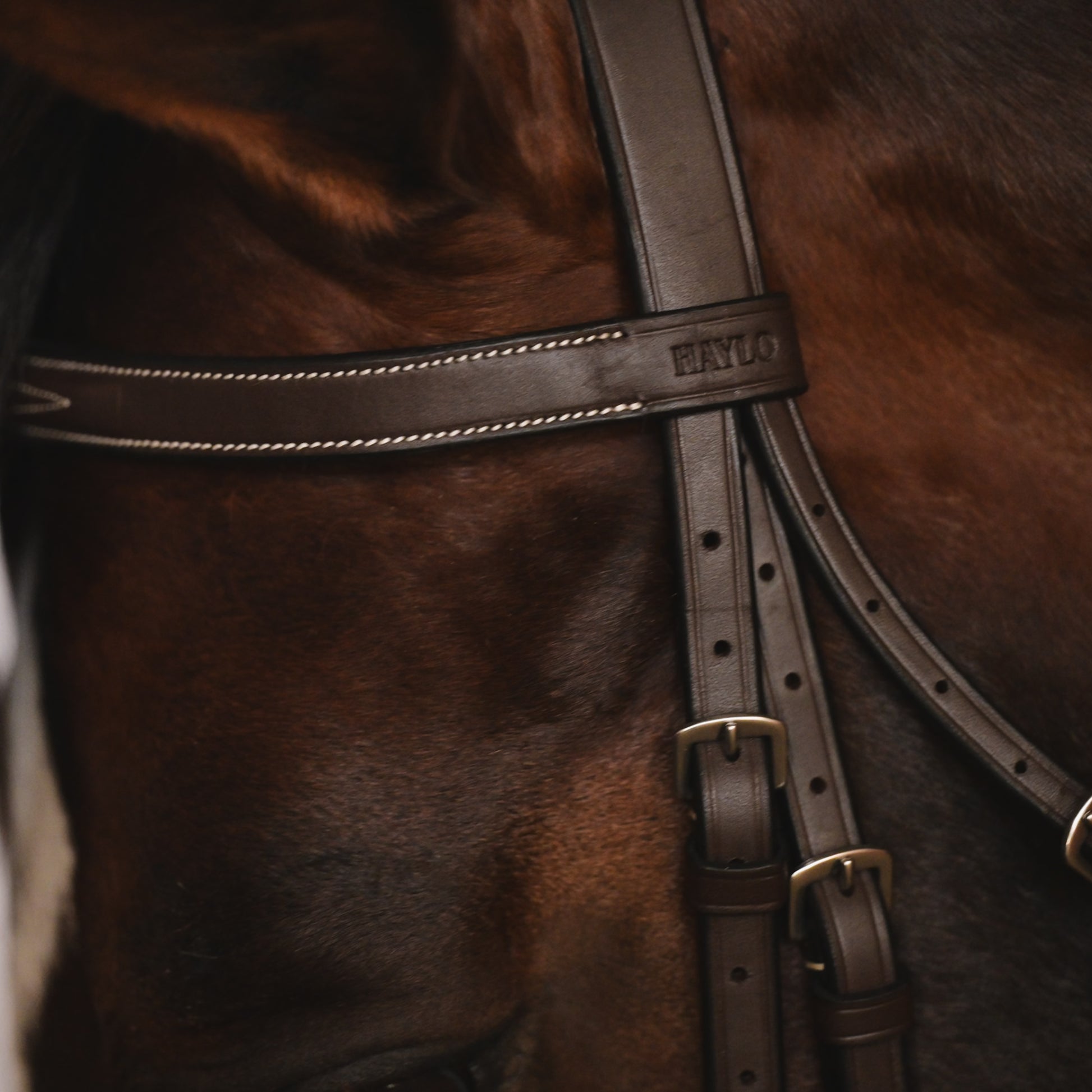 Kingsbury Hunter Bridle - HAYLO Equestrian