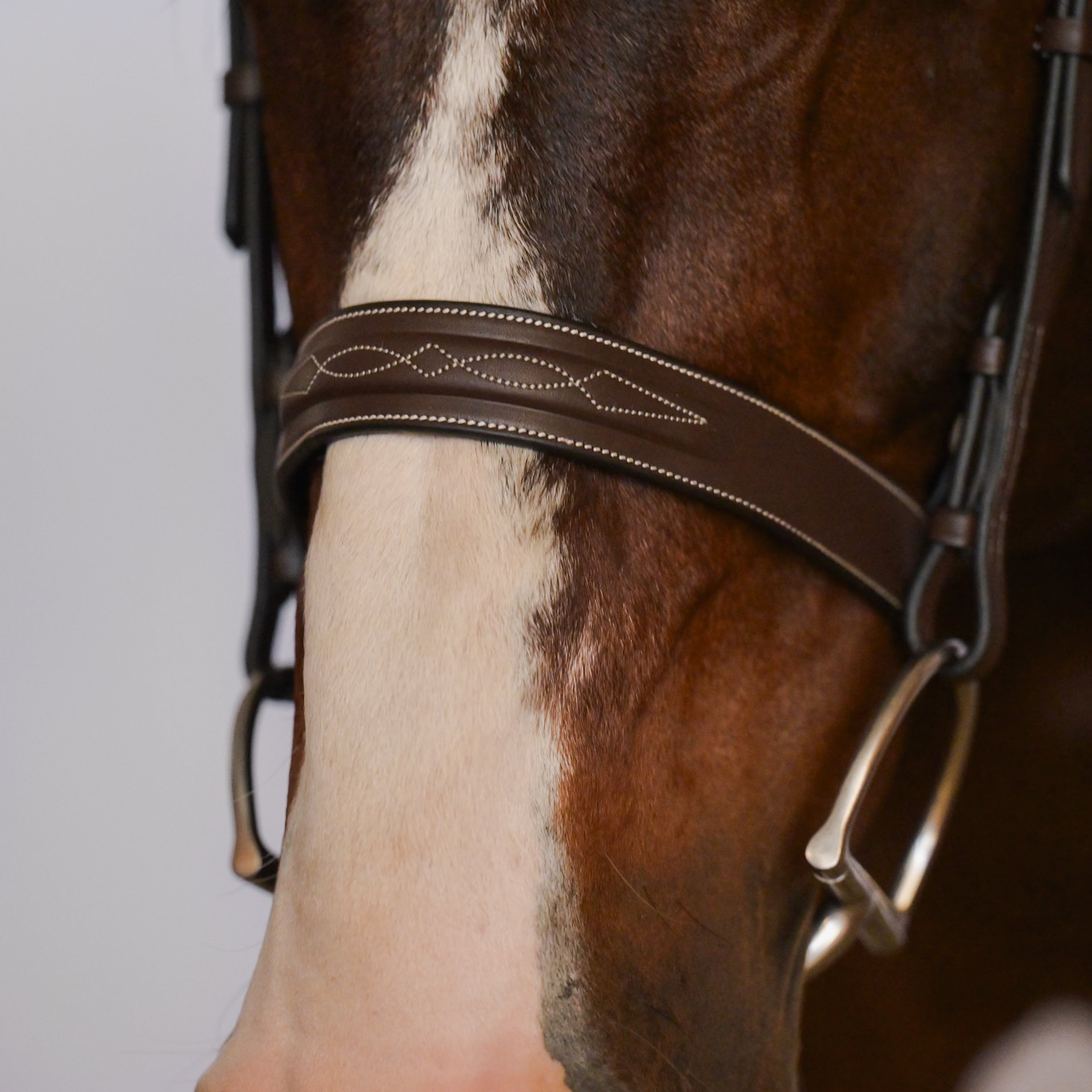 Kingsbury Noseband Seconds Sale