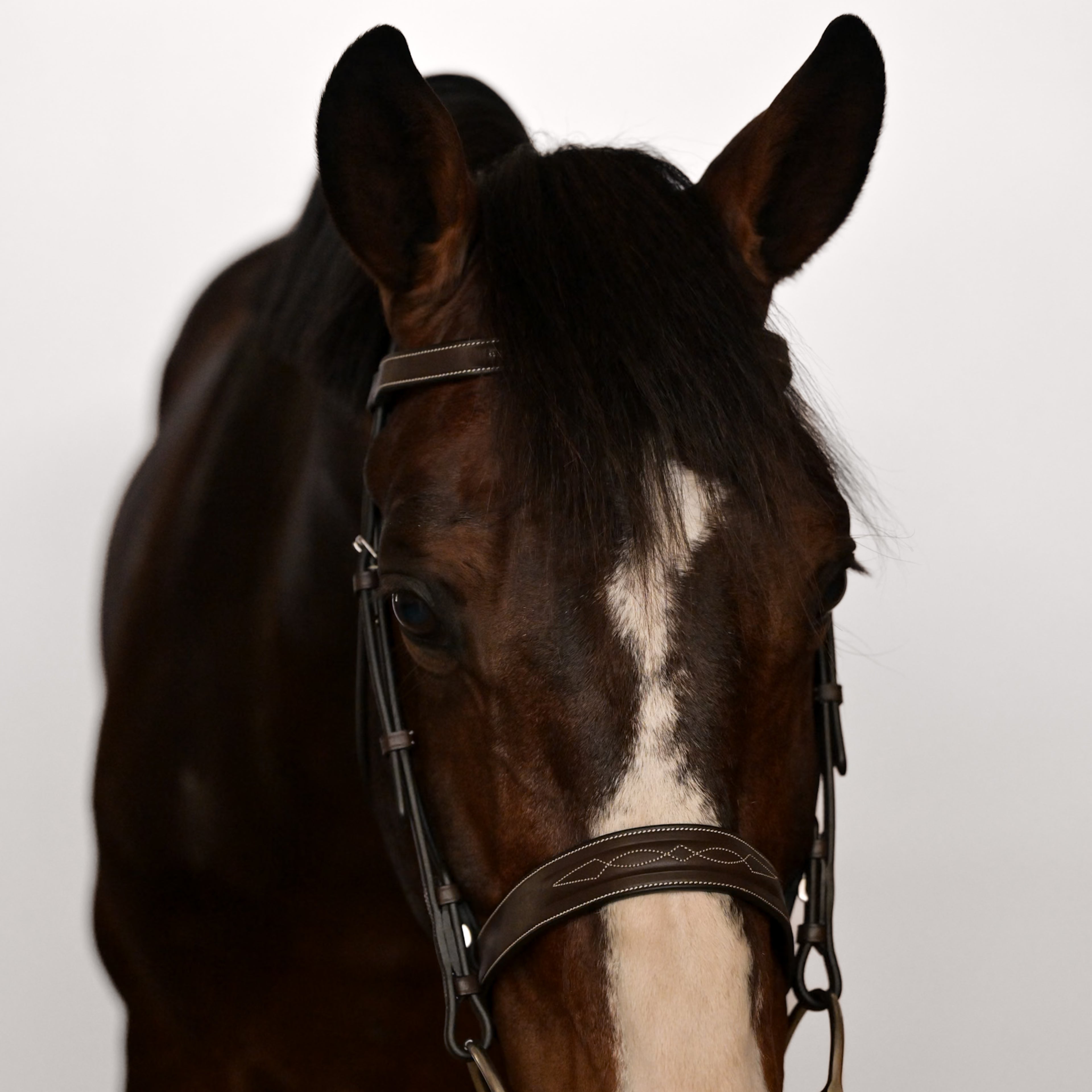 Kingsbury Noseband Seconds Sale