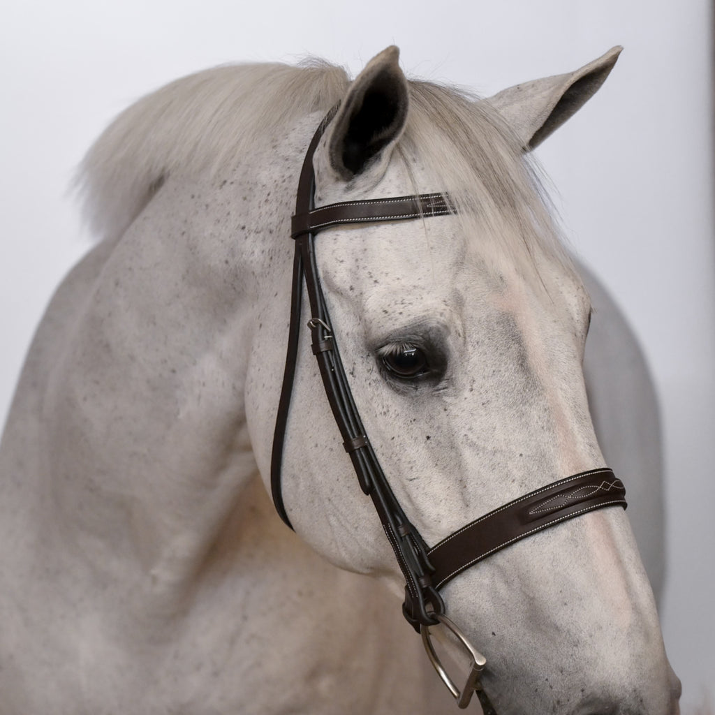 Kingsbury Hunter Bridle - HAYLO Equestrian
