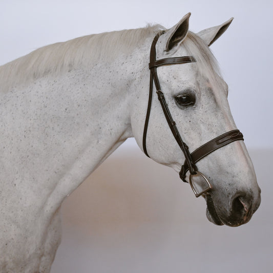 Kingsbury Hunter Bridle - HAYLO Equestrian