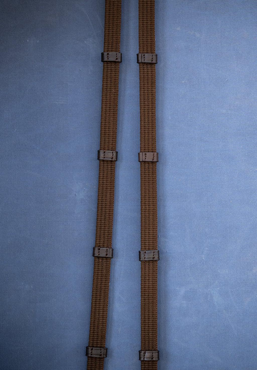 Web Reins with Loops